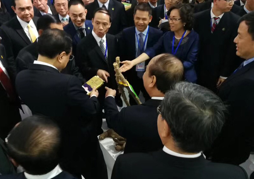 李克強總理親臨參觀國宏集團展位